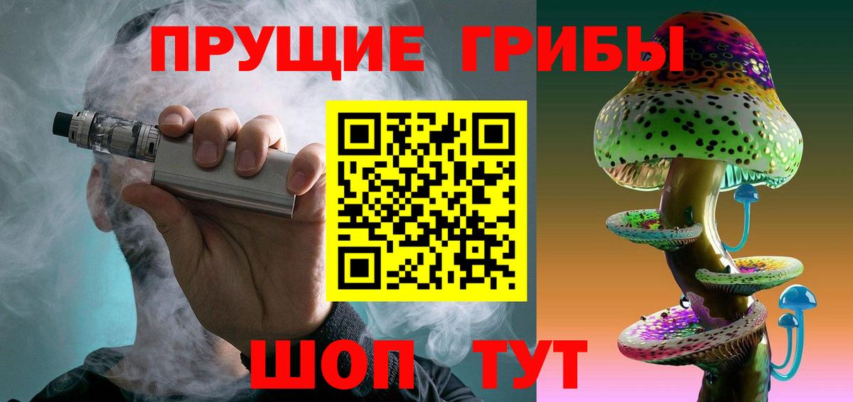 Псилоцибиновые грибы Cubensis Фролово